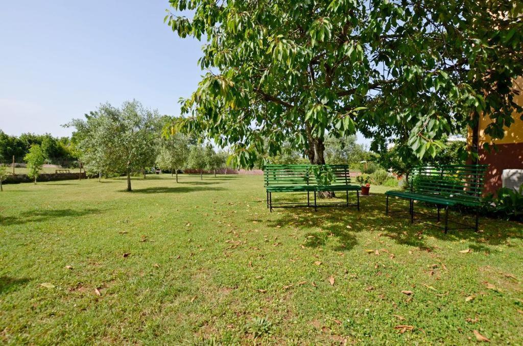 PUY Apartment Karolina - Green Oasis מראה חיצוני תמונה
